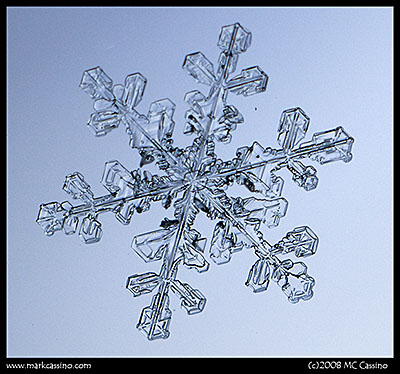 Snow Flake Photograph