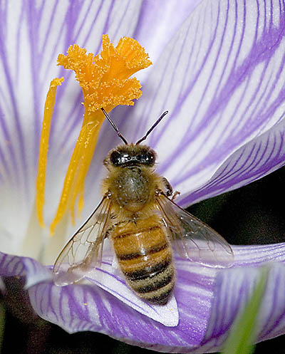 Ah, Spring(#1)
