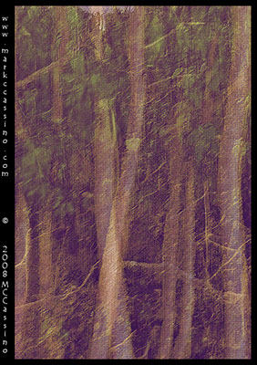 Forst Abstraction