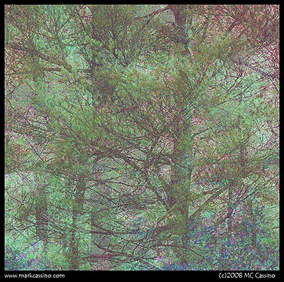 Forst Abstraction