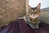 Hanging on the Stoop