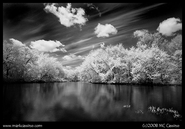 rollei infrared 400