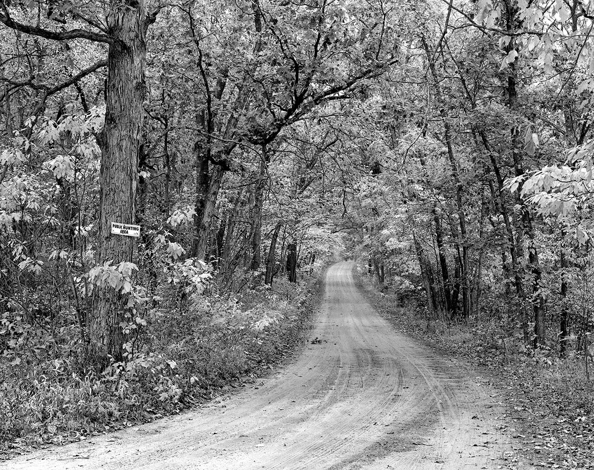 The Back Roads