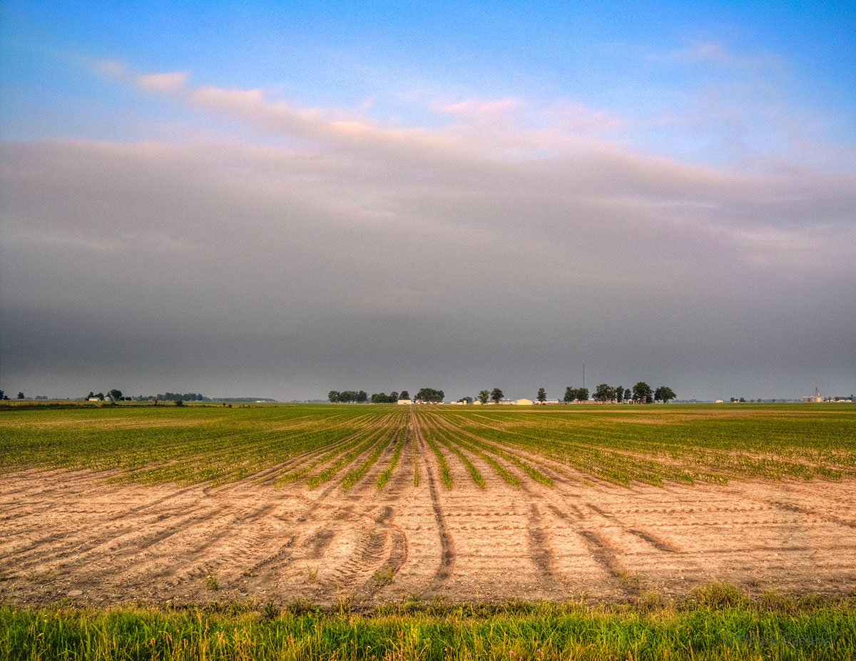 The Back Roads