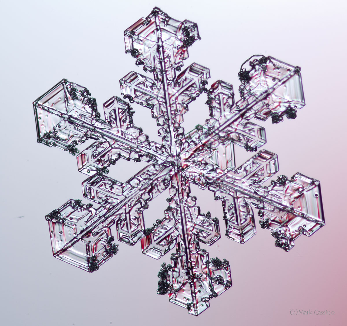 100 Snowflake Photos