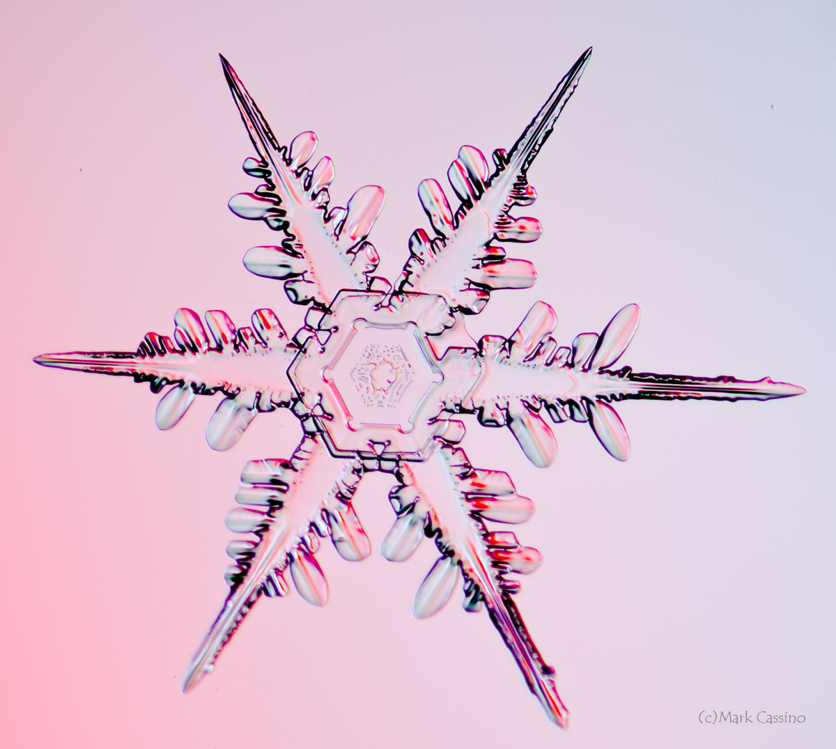 100 Snowflake Photos