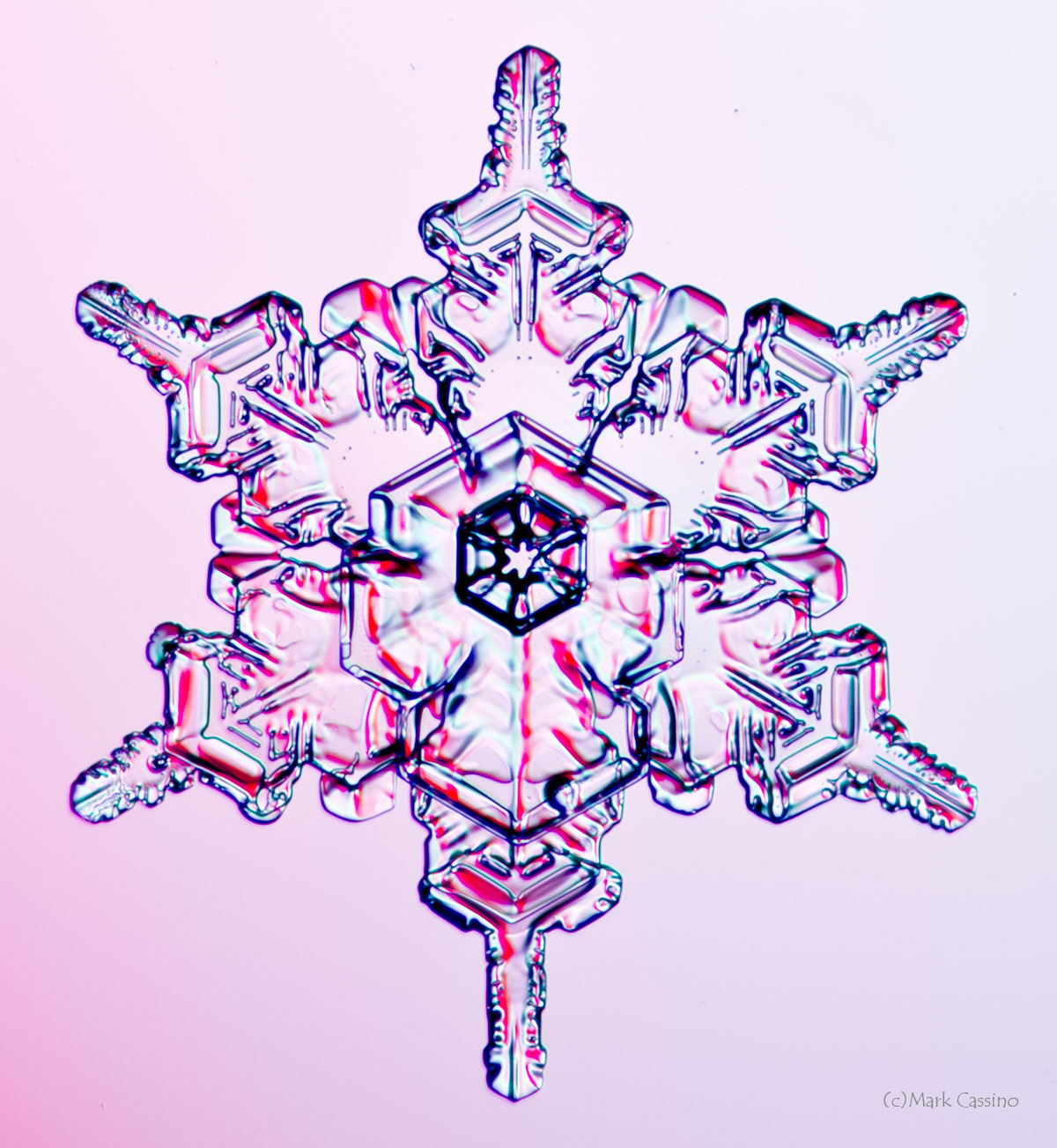 100 Snowflake Photos