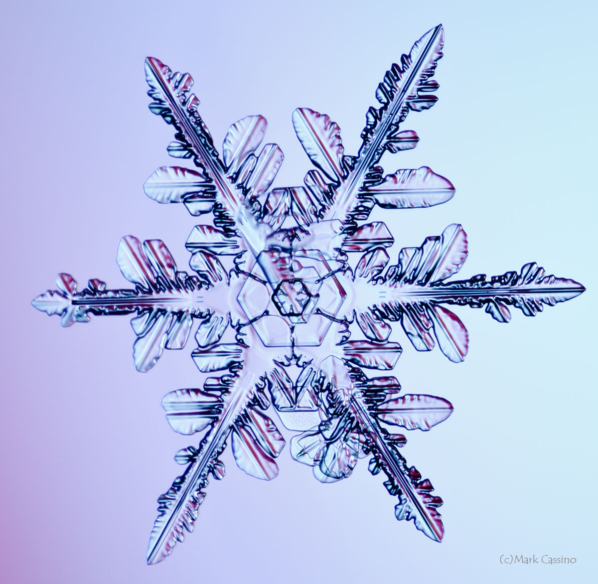 100 Snowflake Photos