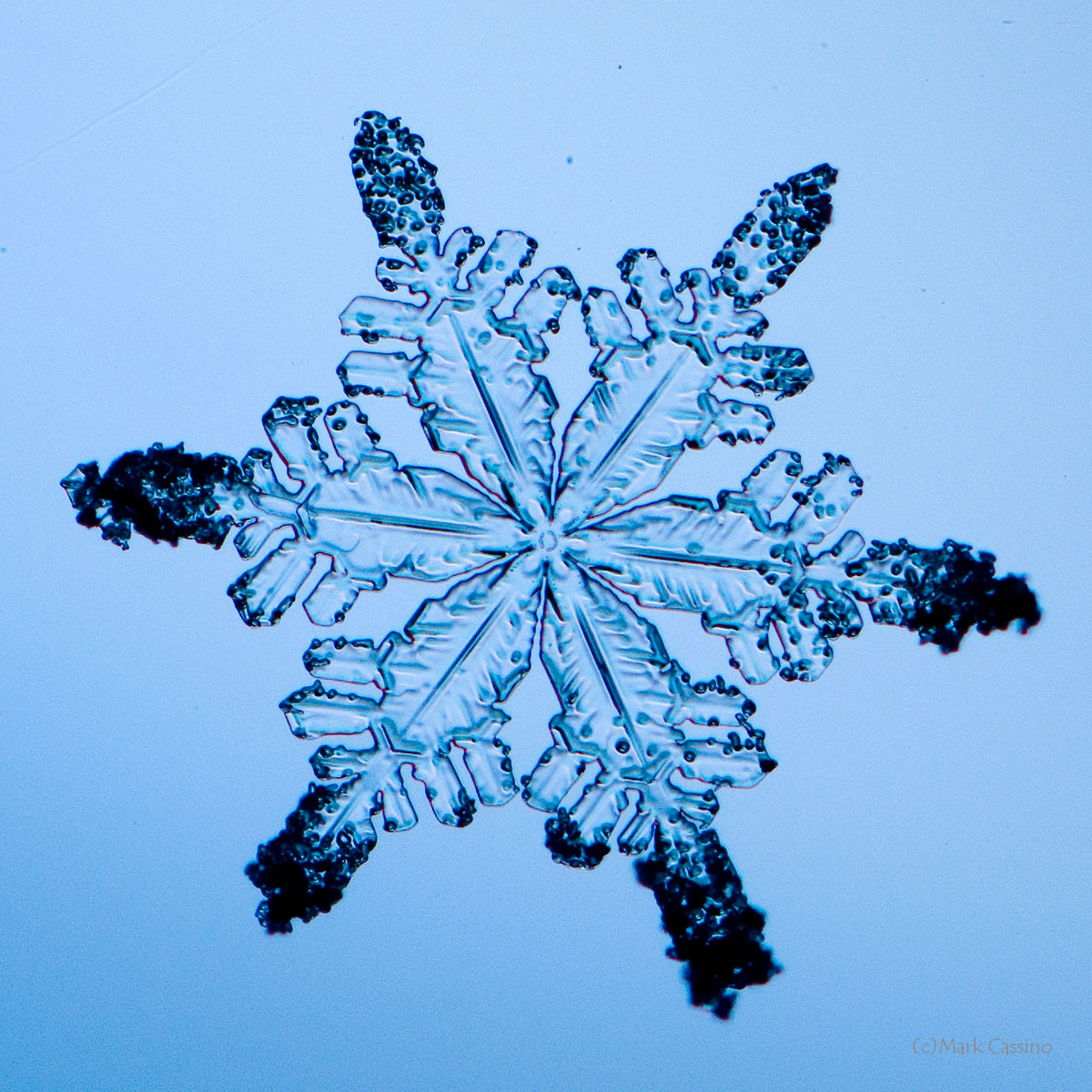 100 Snowflake Photos