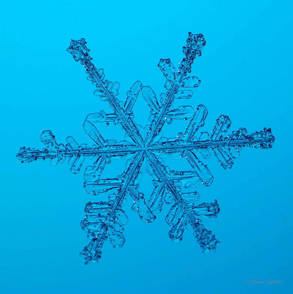 100 Snowflake Photos