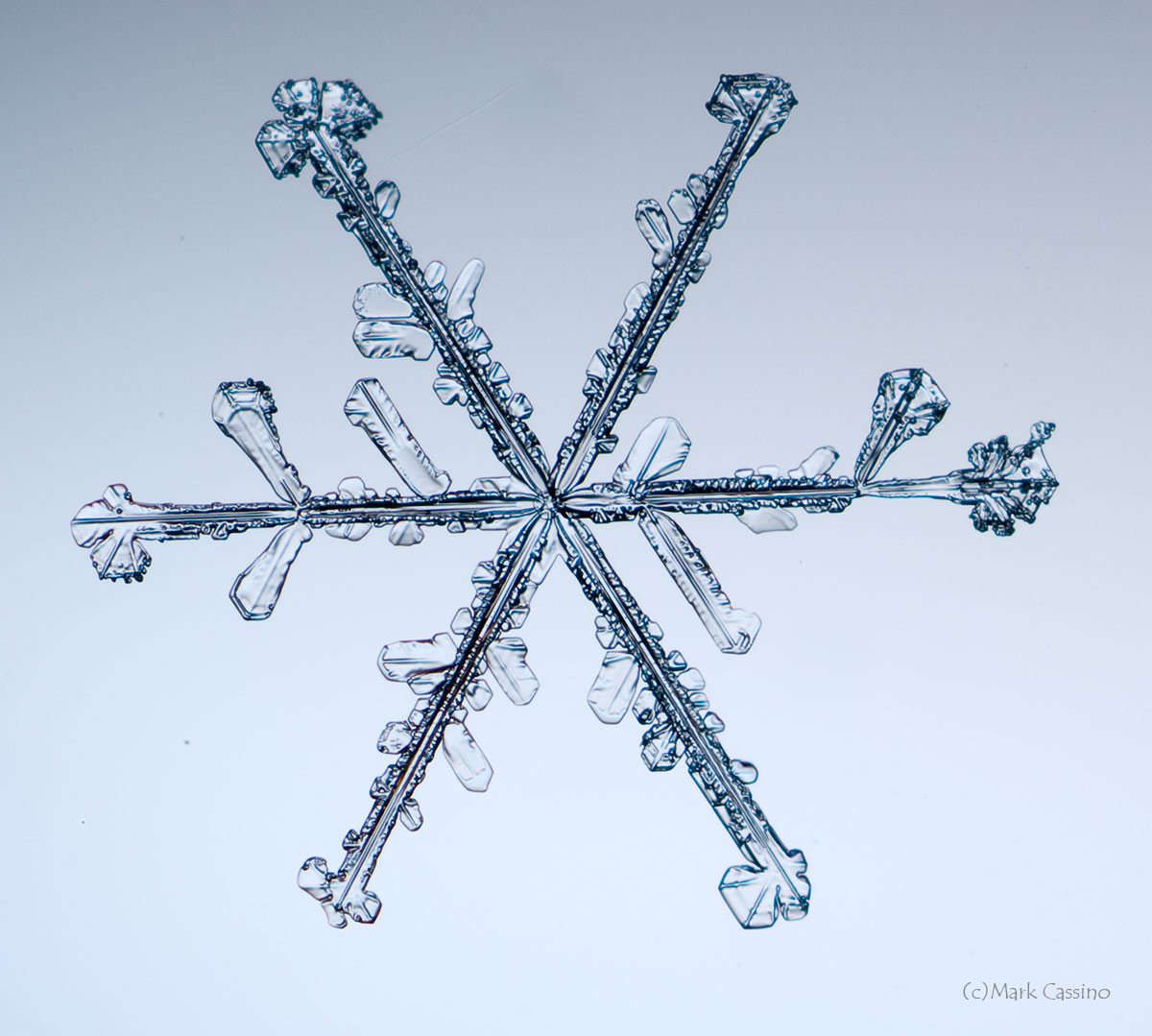 100 Snowflake Photos