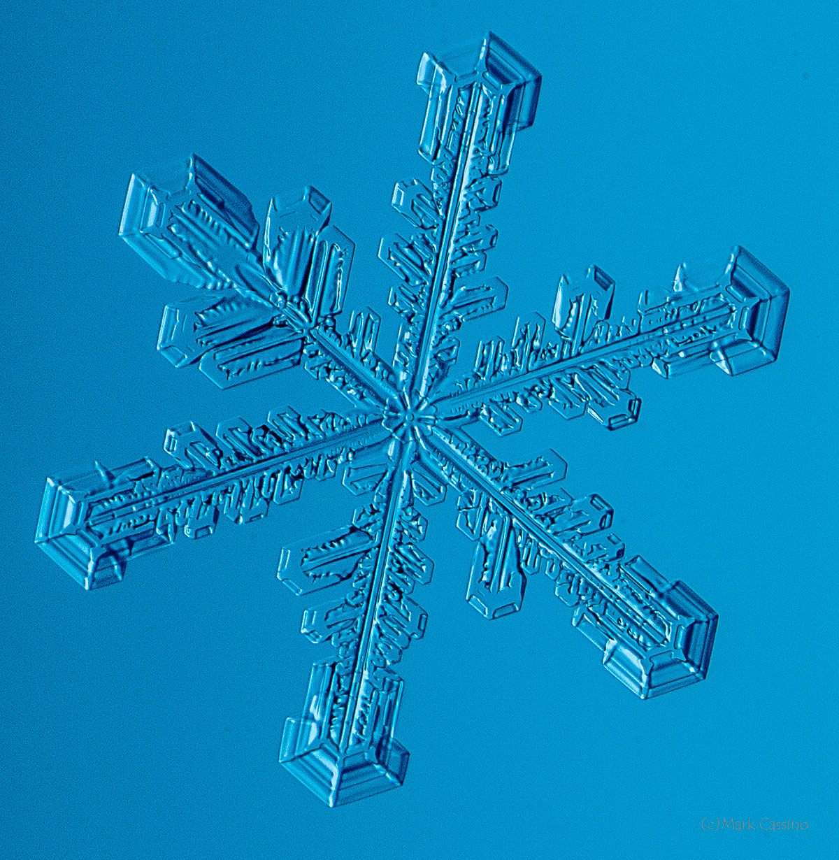 100 Snowflake Photos