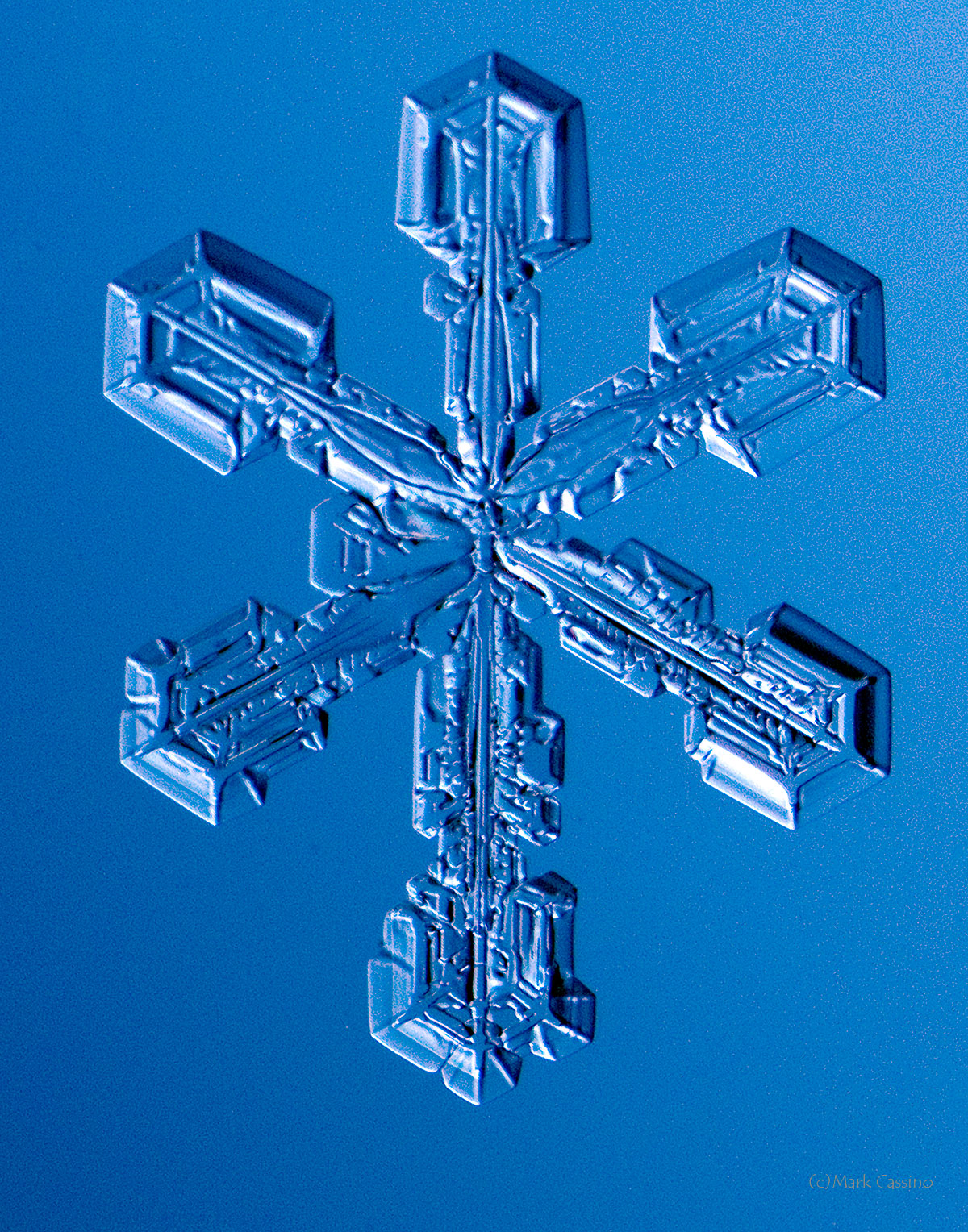 100 Snowflake Photos