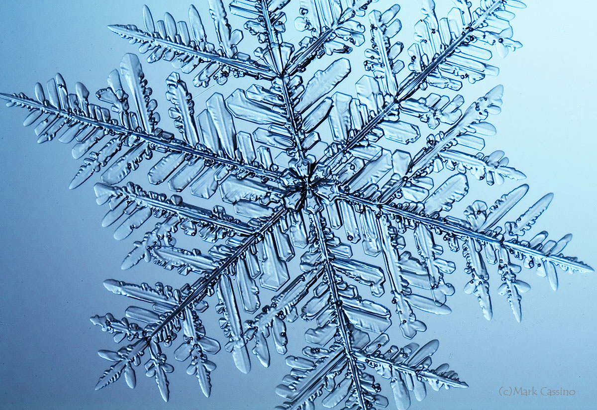 100 Snowflake Photos