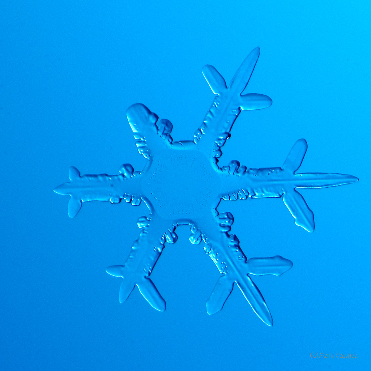 100 Snowflake Photos