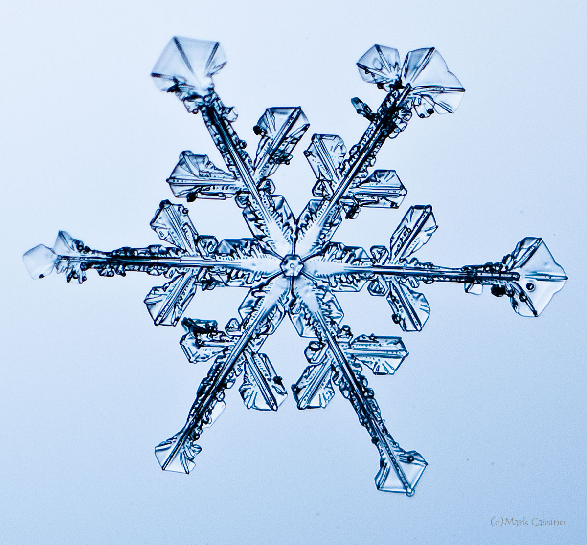 100 Snowflake Photos