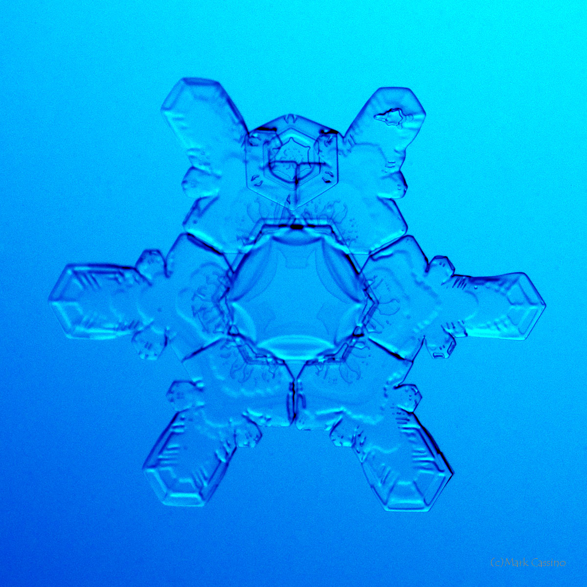 100 Snowflake Photos