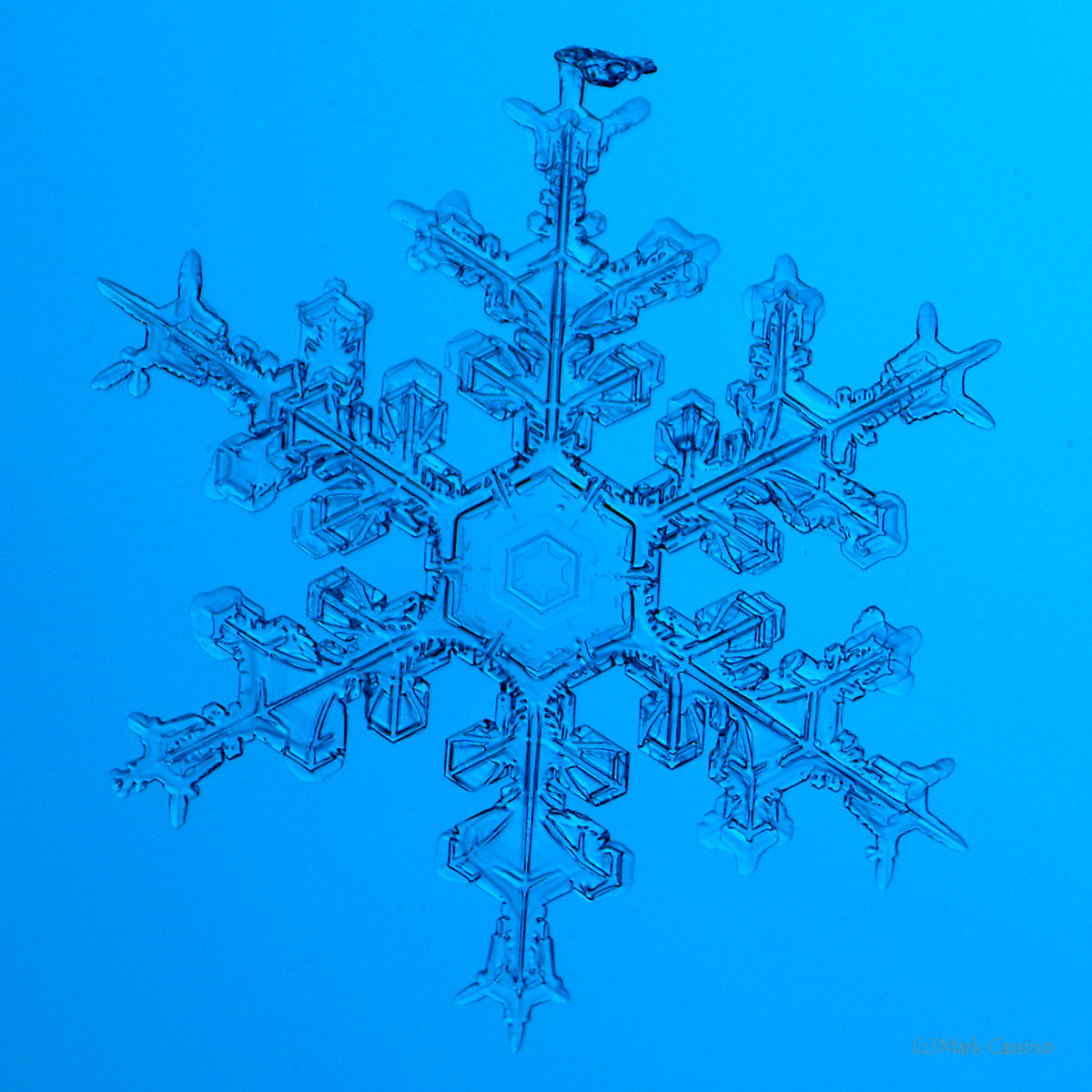 100 Snowflake Photos