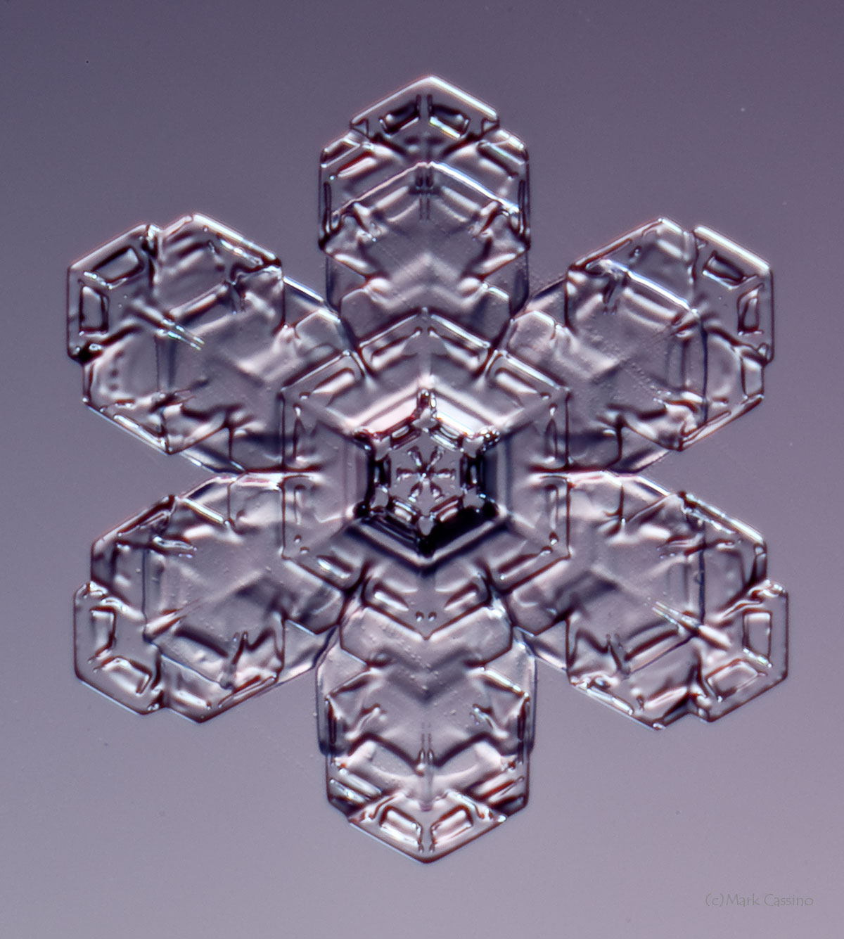 100 Snowflake Photos