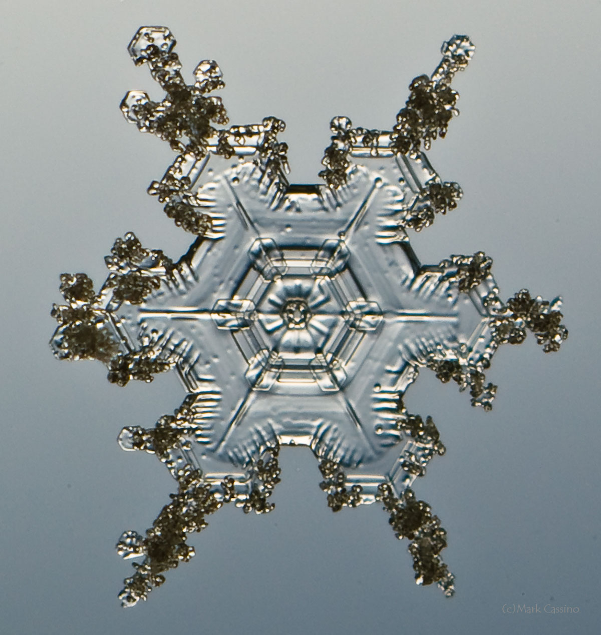 100 Snowflake Photos