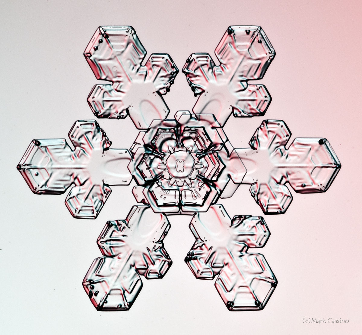 100 Snowflake Photos