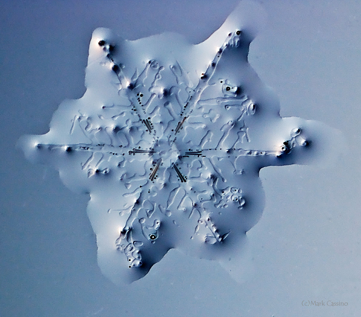 100 Snowflake Photos