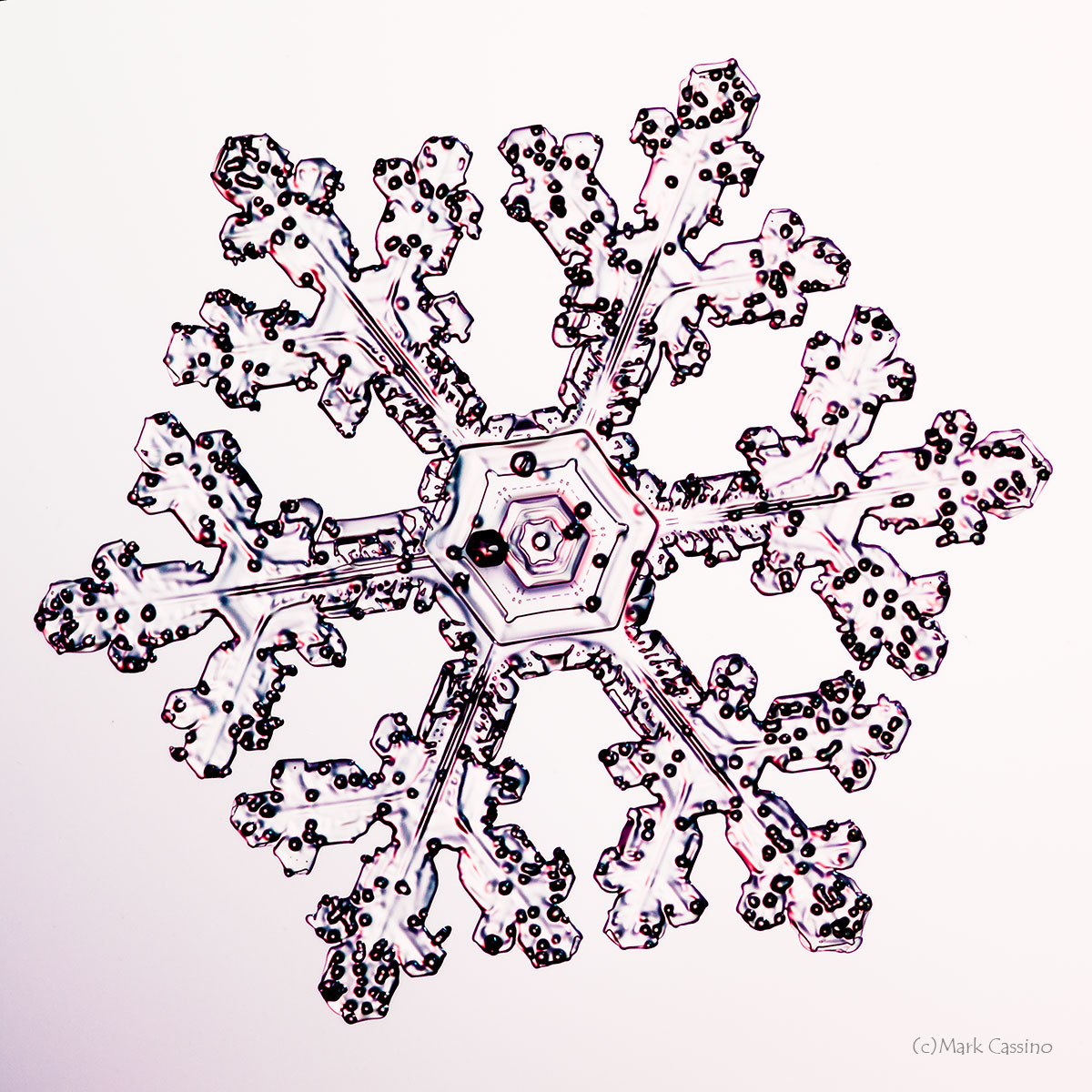 100 Snowflake Photos