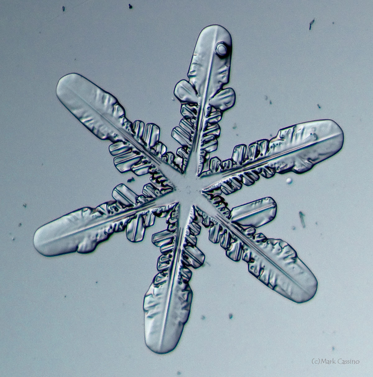 100 Snowflake Photos