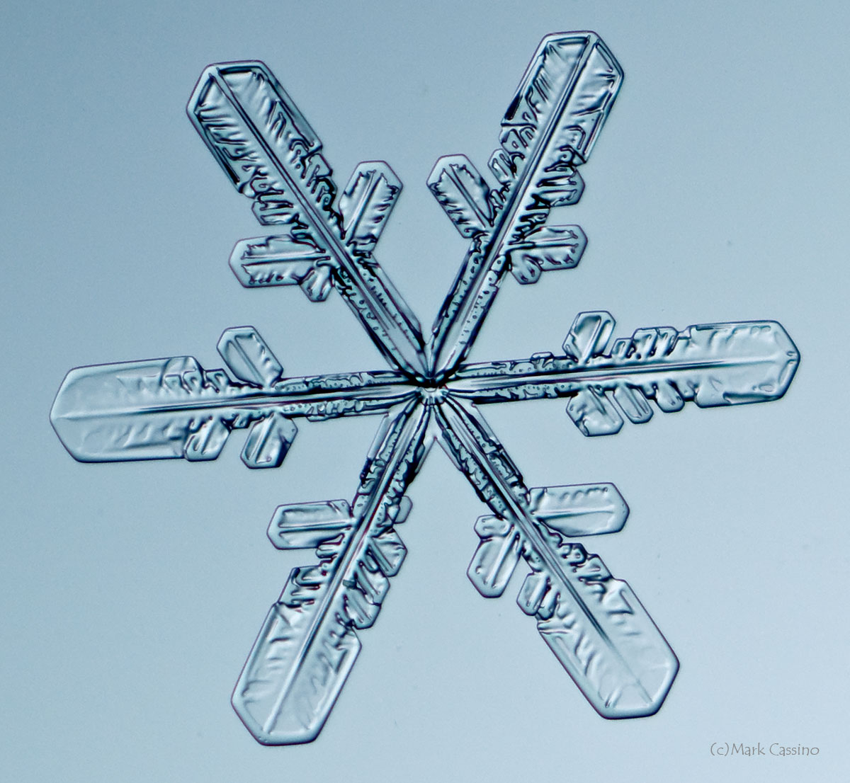 100 Snowflake Photos