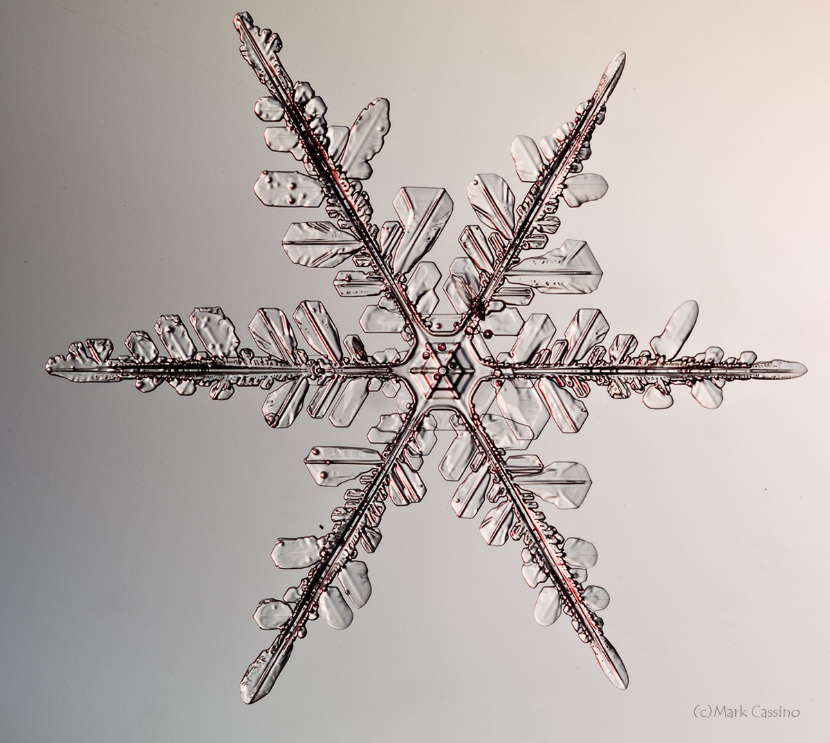 100 Snowflake Photos