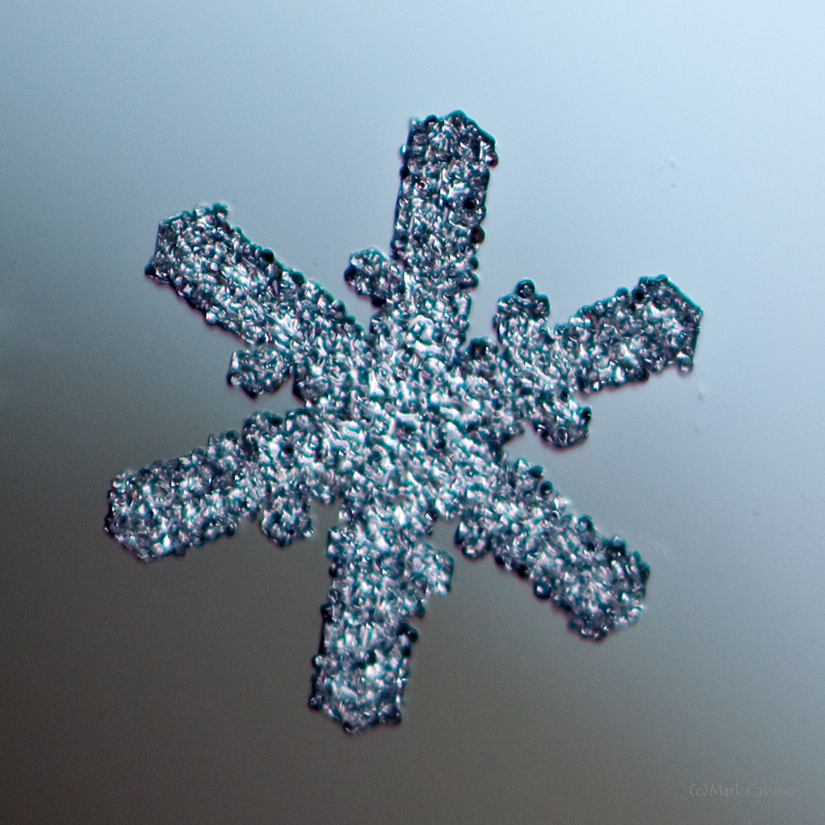 100 Snowflake Photos