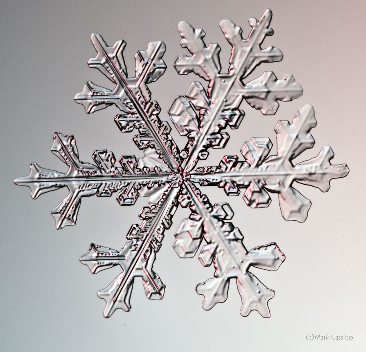 100 Snowflake Photos