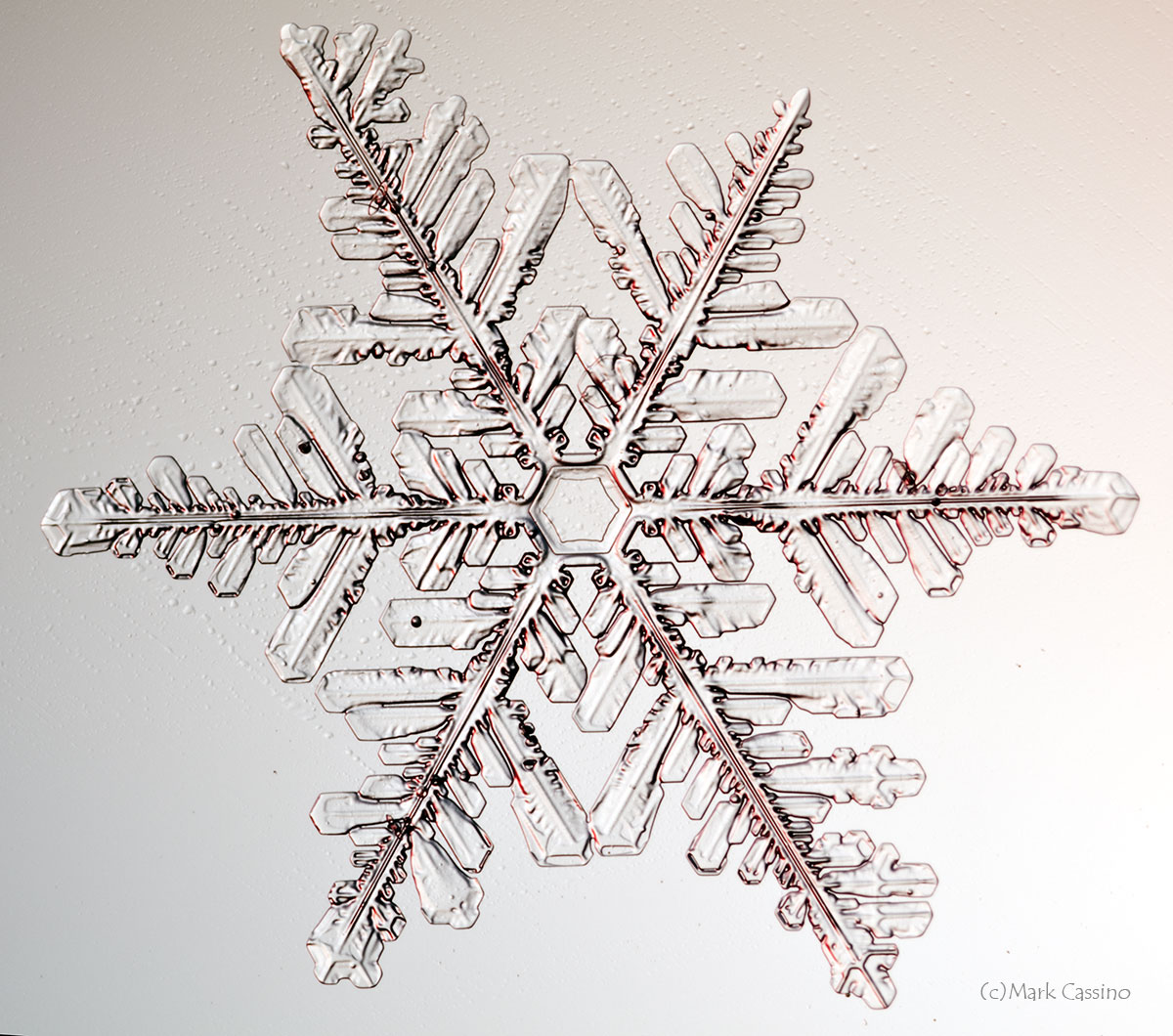 100 Snowflake Photos