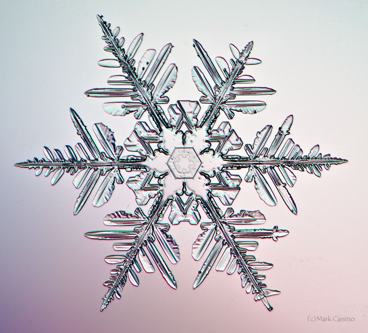 100 Snowflake Photos