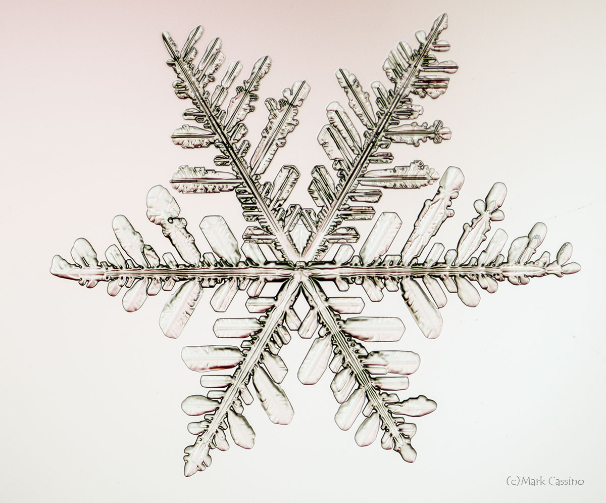 100 Snowflake Photos