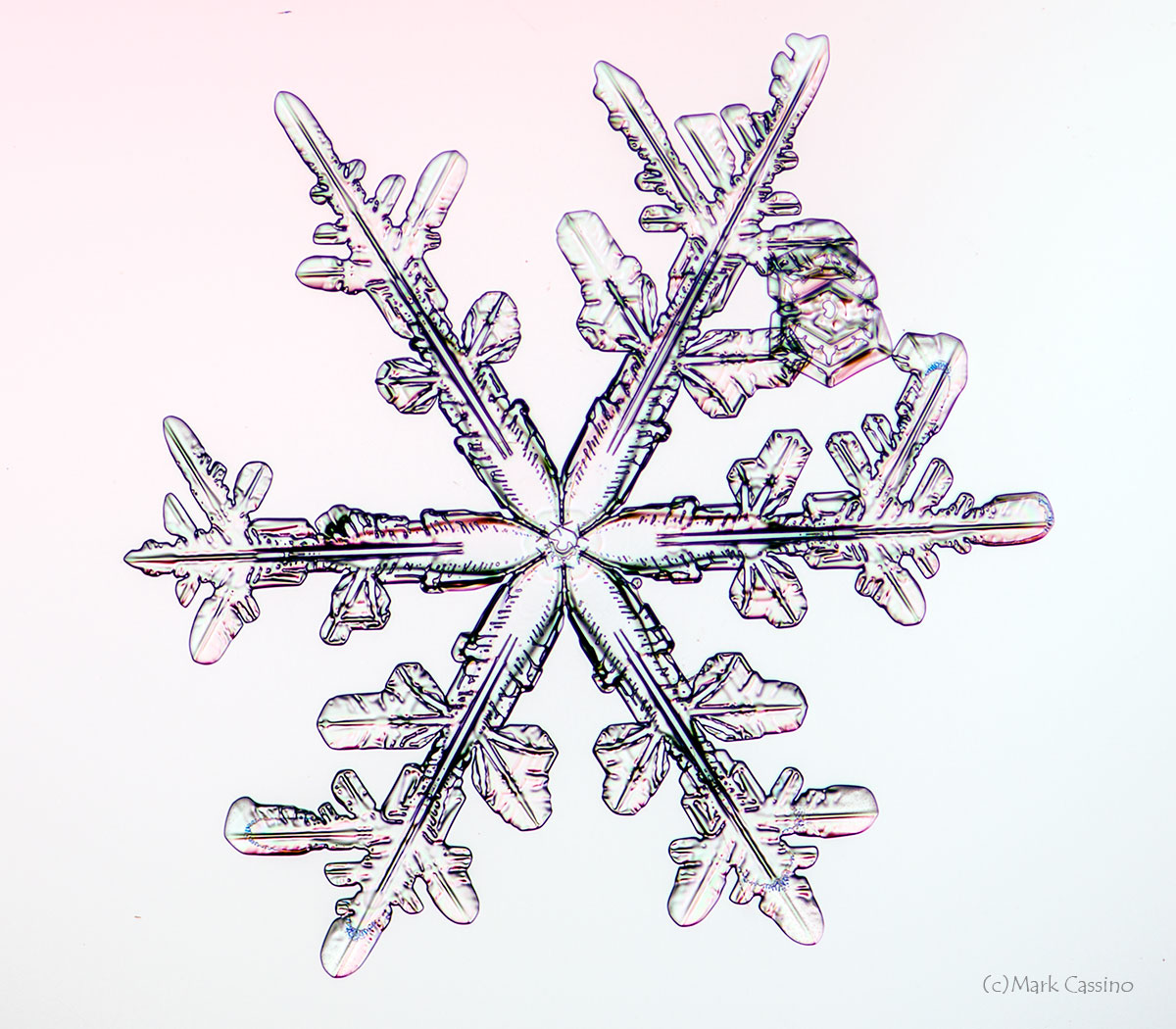 100 Snowflake Photos