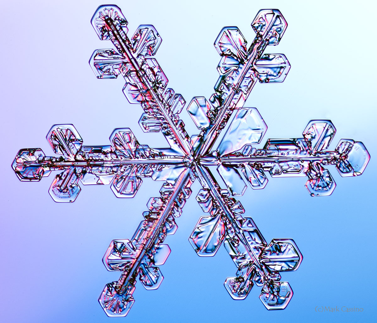 100 Snowflake Photos