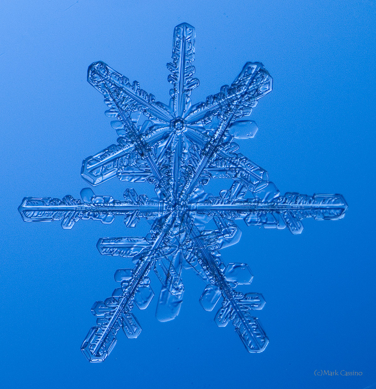 100 Snowflake Photos