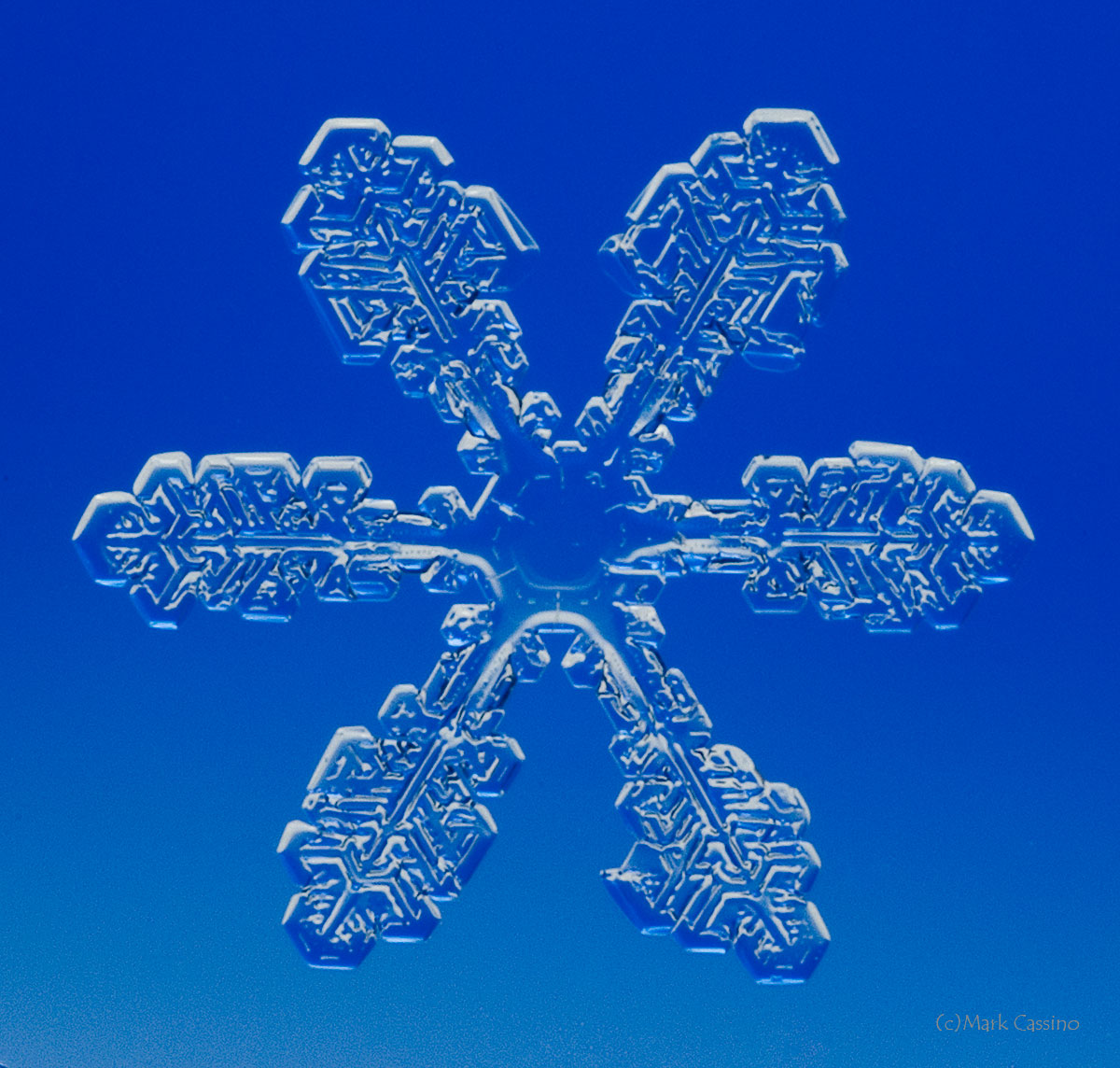 100 Snowflake Photos