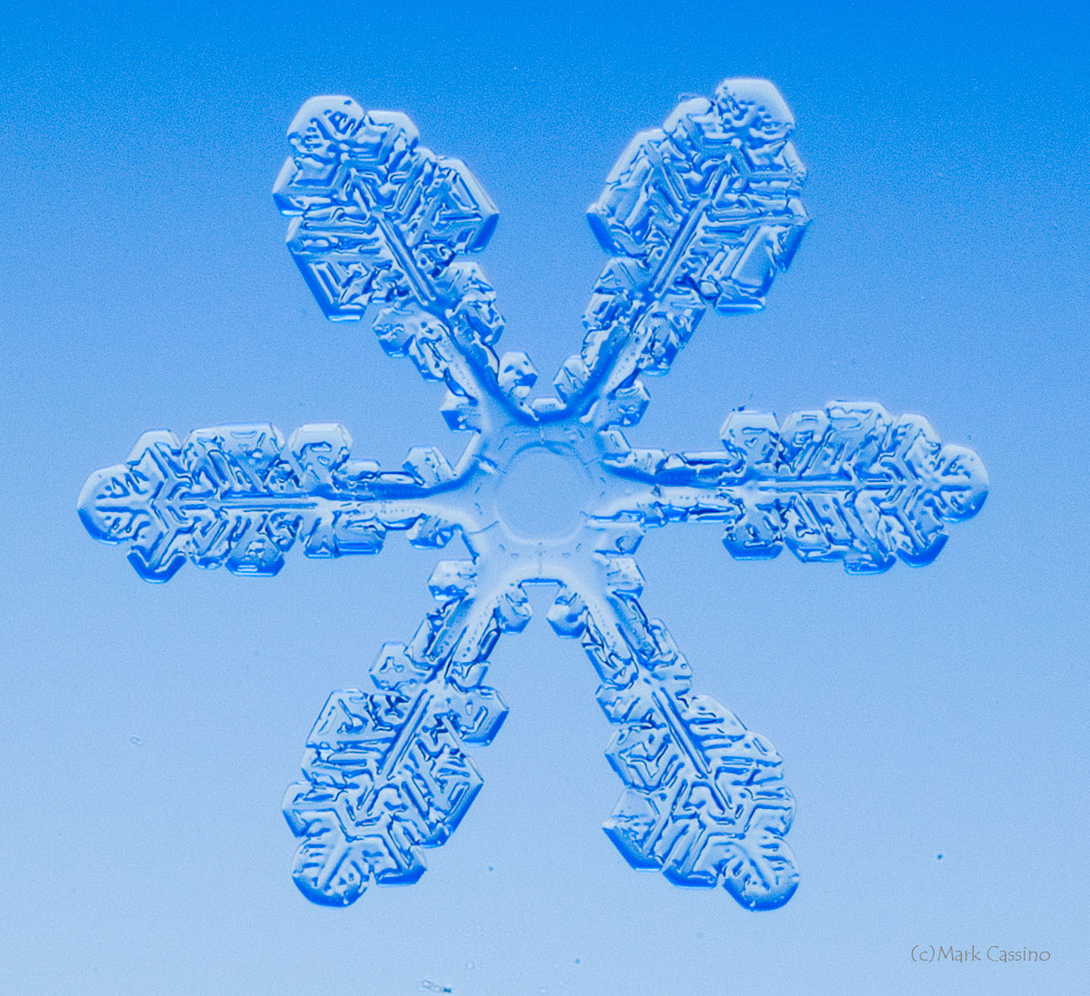 100 Snowflake Photos