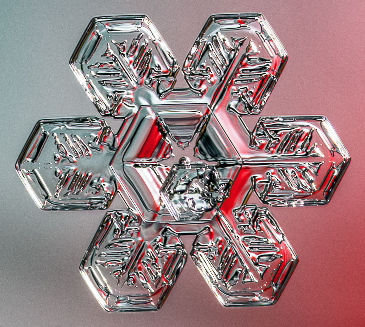 100 Snowflake Photos