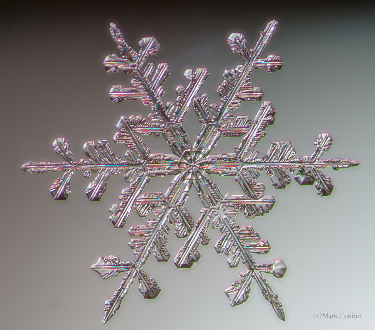 100 Snowflake Photos