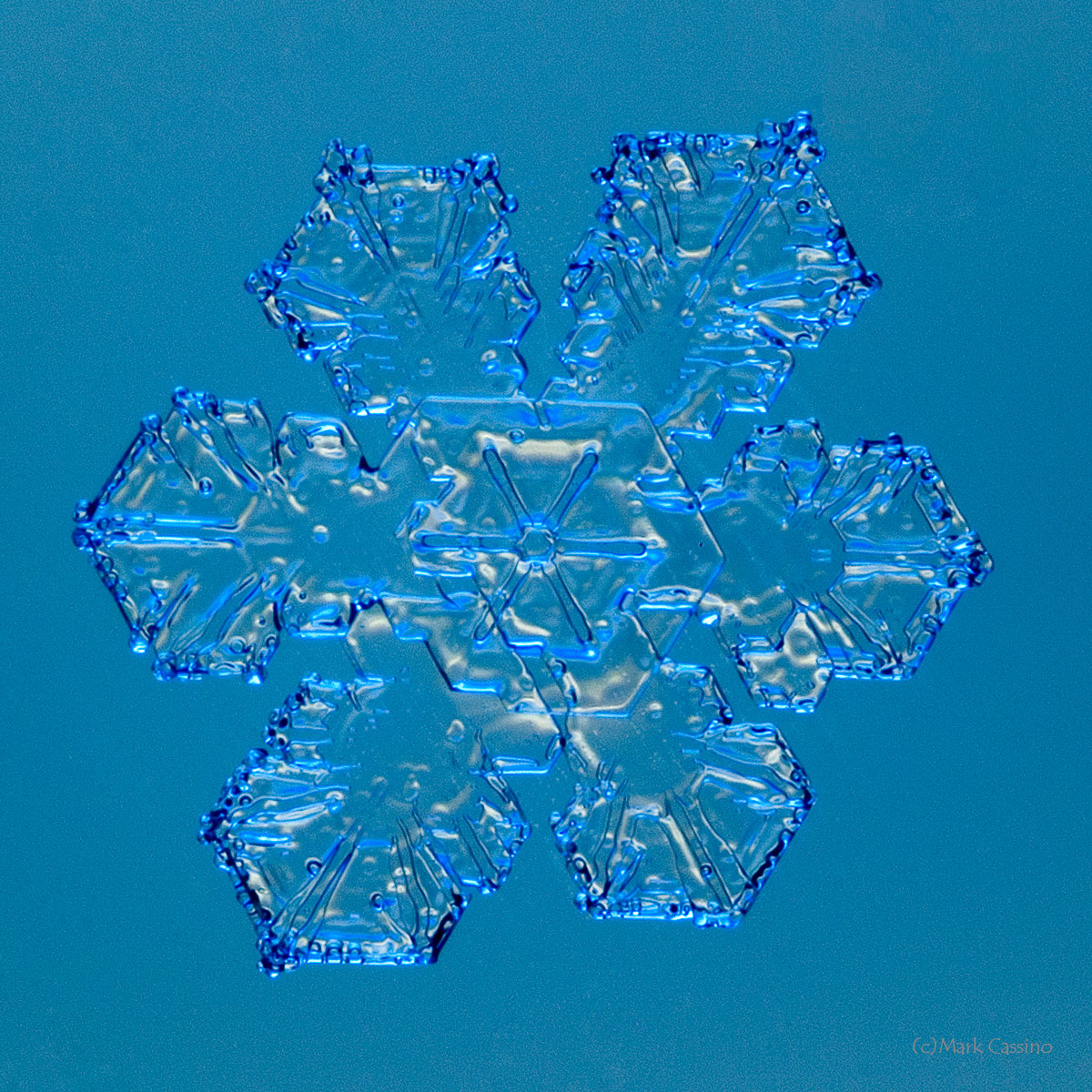 100 Snowflake Photos