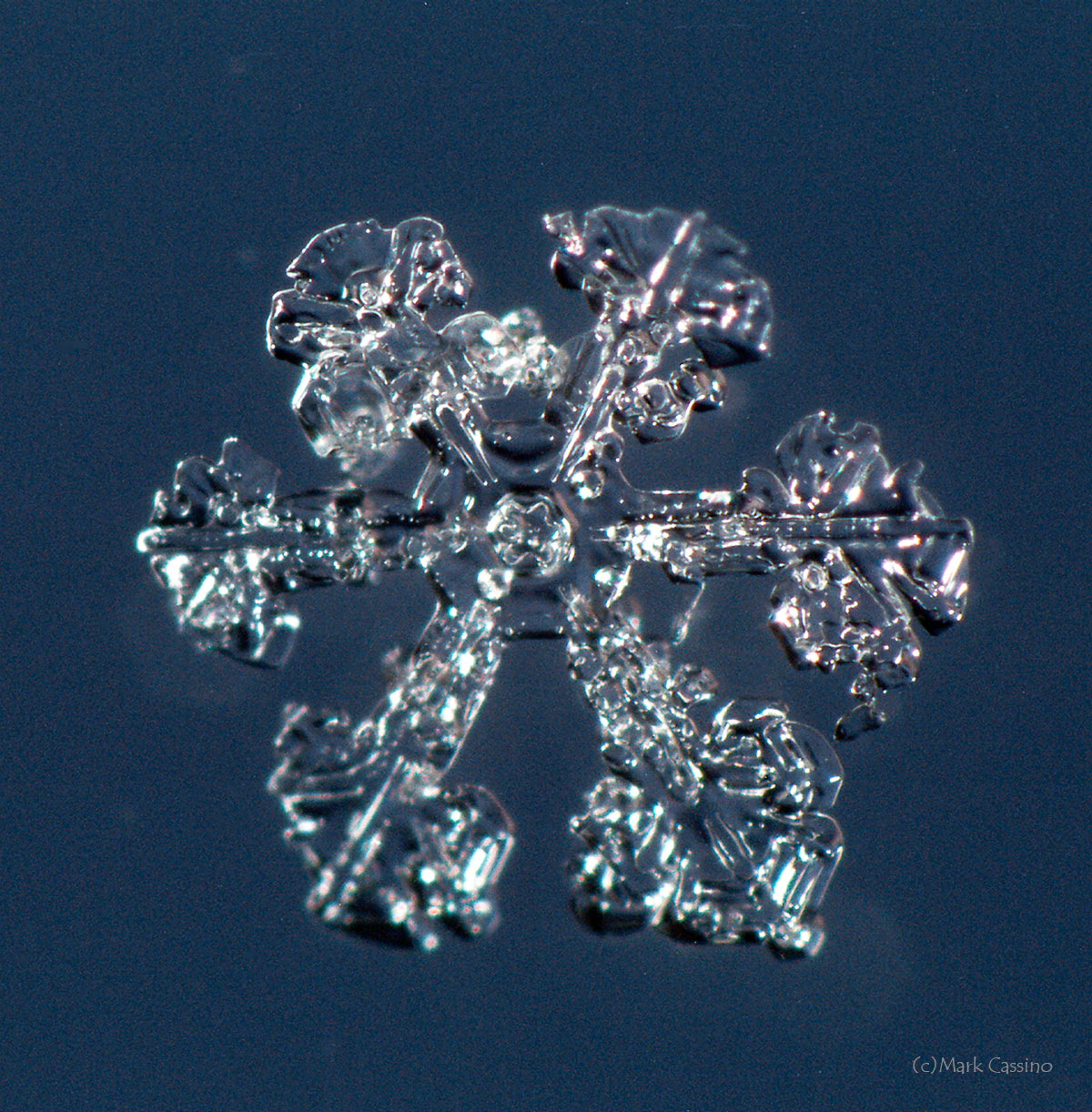 100 Snowflake Photos